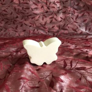 Raysin-Schmetterling weiß