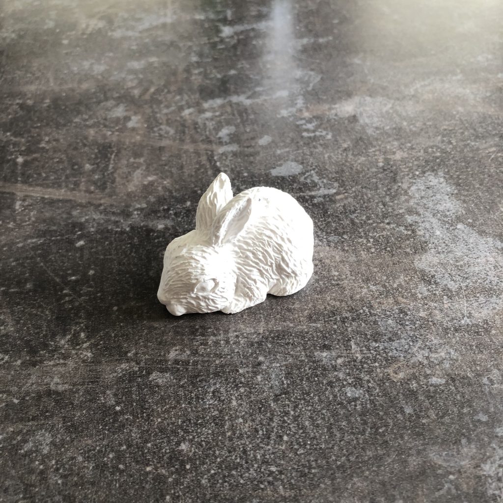 Raysin Häschen klein