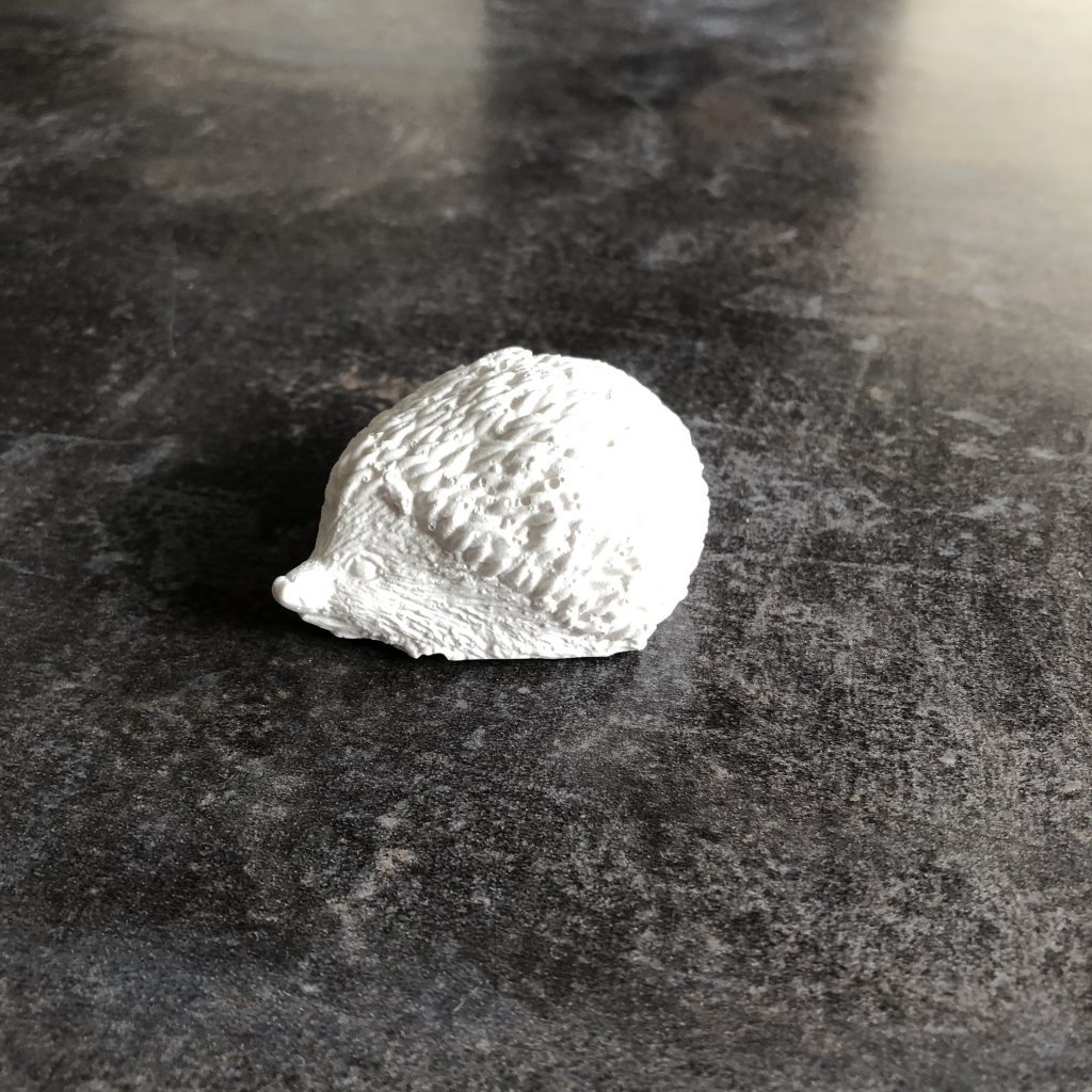 Raysin Igel klein