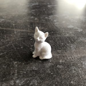 Raysin Kätzchen klein